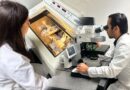 La UAT posiciona su liderazgo en investigación con impacto social